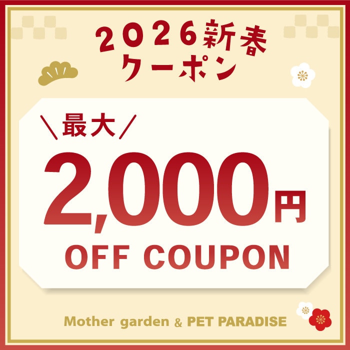 ☆ 新春 お年玉企画 最大2,000円OFF☆