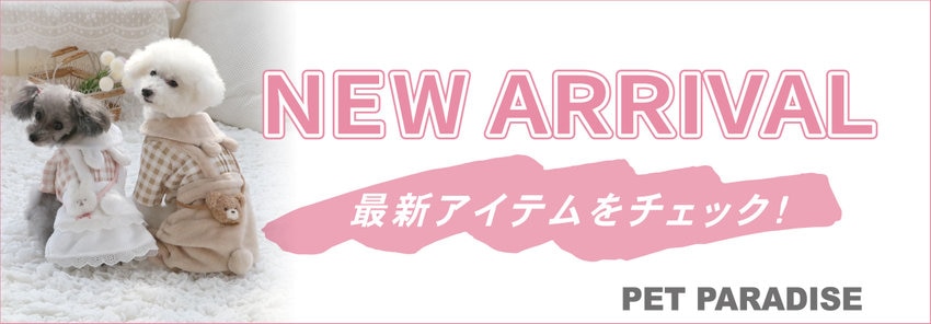 2026 Spring & Summer ウェア