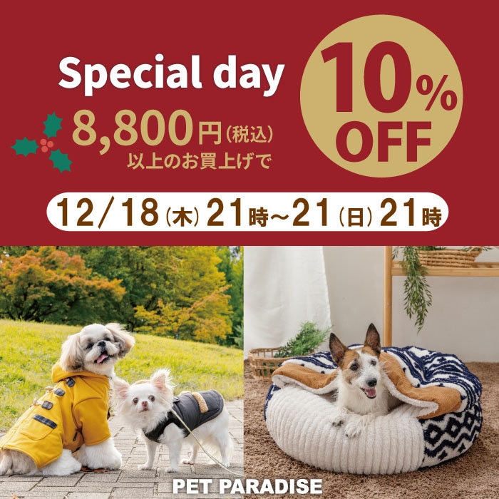 Special Day 10％OFF