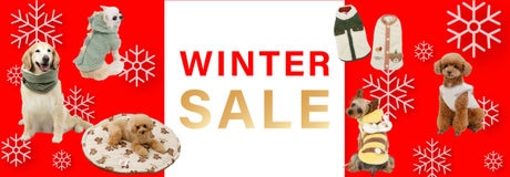 ☆ラッキーday 最大2,000円OFF☆ | 【通販】雑貨とペット用品の通販サイト | マザーガーデン＆ペットパラダイス