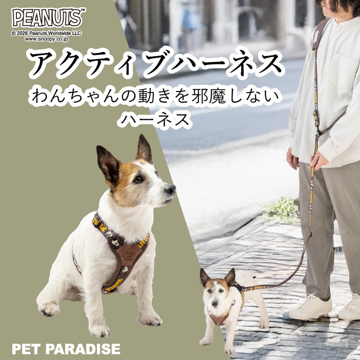 260129pp.jpg