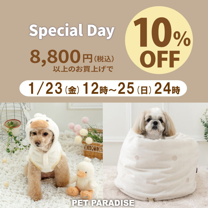 Special Day 10％OFF