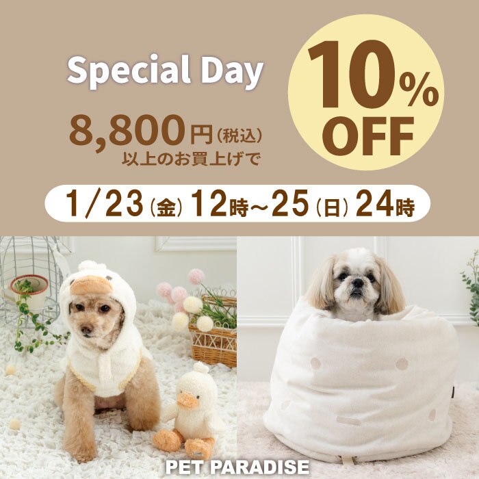 Special Day 10％OFF | 【通販】雑貨とペット用品の通販サイト