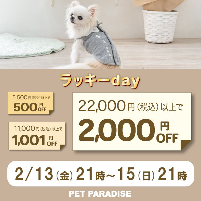 ☆ラッキーday  最大2,000円OFF☆