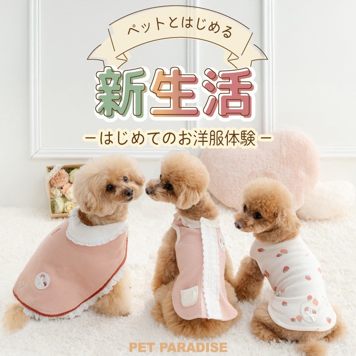 はじめてのお洋服