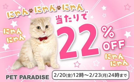 にゃんにゃんにゃんLINEクジ 22％OFF | 【通販】雑貨とペット用品の