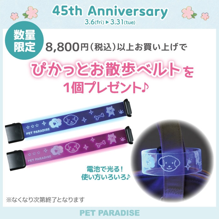 45th Anniversary 8,800円以上でノベルティ プレゼント