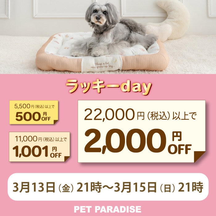 ☆ラッキーday  最大2,000円OFF☆