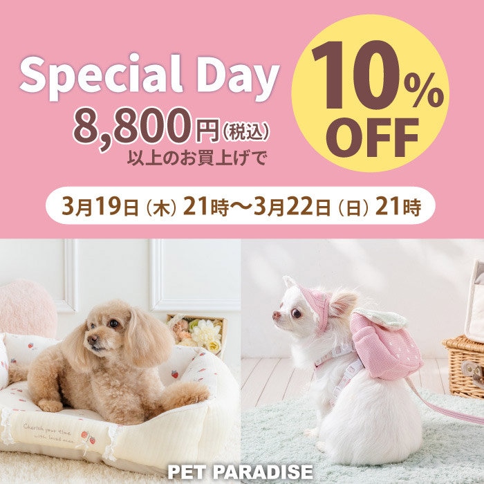 Special Day 10％OFF