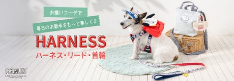 Special Day 10％OFF | 【通販】雑貨とペット用品の通販サイト | マザーガーデン＆ペットパラダイス