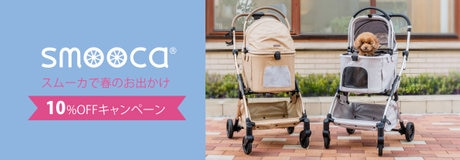 5月1日～☆ラッキーday 最大2,000円OFF☆ | 【通販】雑貨とペット用品の通販サイト | マザーガーデン＆ペットパラダイス