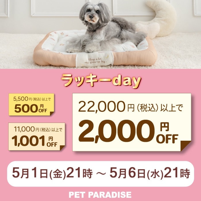 バラ売り可能　飼育用品 パノラマ Sホワイト (株)三晃商会 昆虫飼育用品 | ホームセンター通販