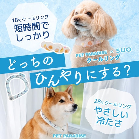 愛犬のための選べるひんやり、2つのクールリングが登場！ | 【通販
