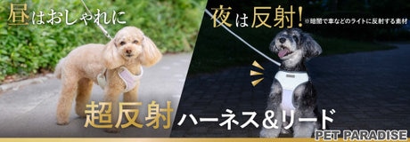夜のお散歩も安心！新作 超反射ハーネス | 【通販】雑貨とペット用品の通販サイト | マザーガーデン＆ペットパラダイス