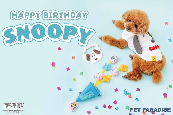 ペットパラダイス 公式通販サイト | PET PARADISE