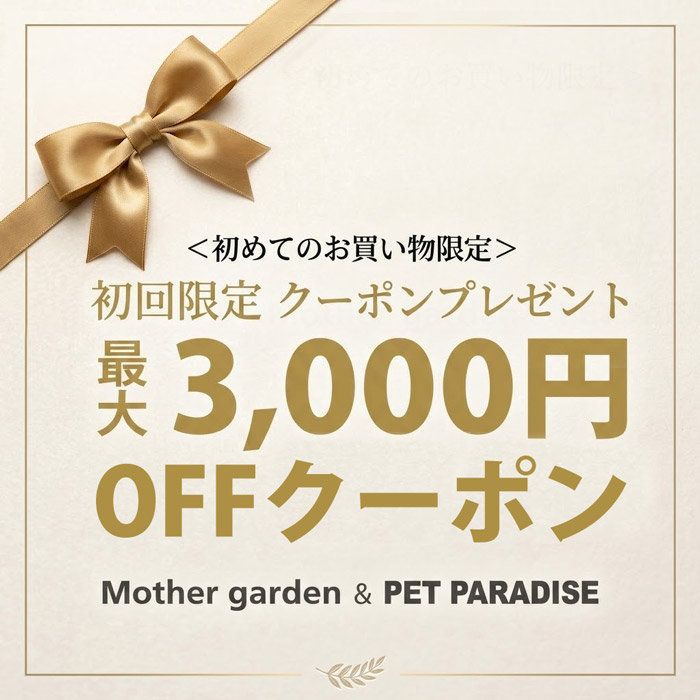☆初回限定最大3,000円OFFキャンペーン