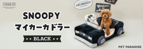 8月21日～おまとめでお買い得 ＼ 3点以上で10％OFF 2点で5％OFF ／ | 【通販】雑貨とペット用品の通販サイト | マザーガーデン＆ペットパラダイス