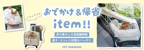 おでかけ＆帰省アイテム特集！愛犬も移動を快適に♪ | 【通販】雑貨と