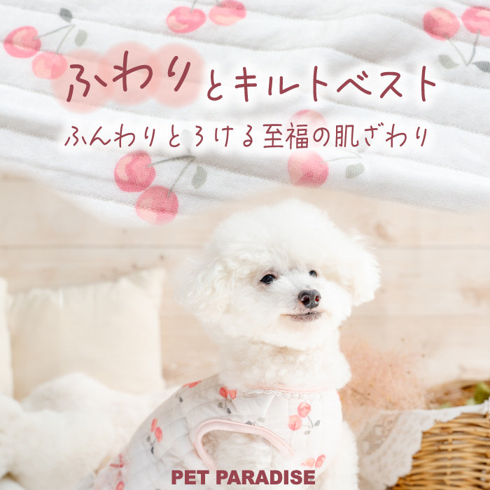 お部屋でのリラックスタイムに♪新作ふわりとキルトベスト